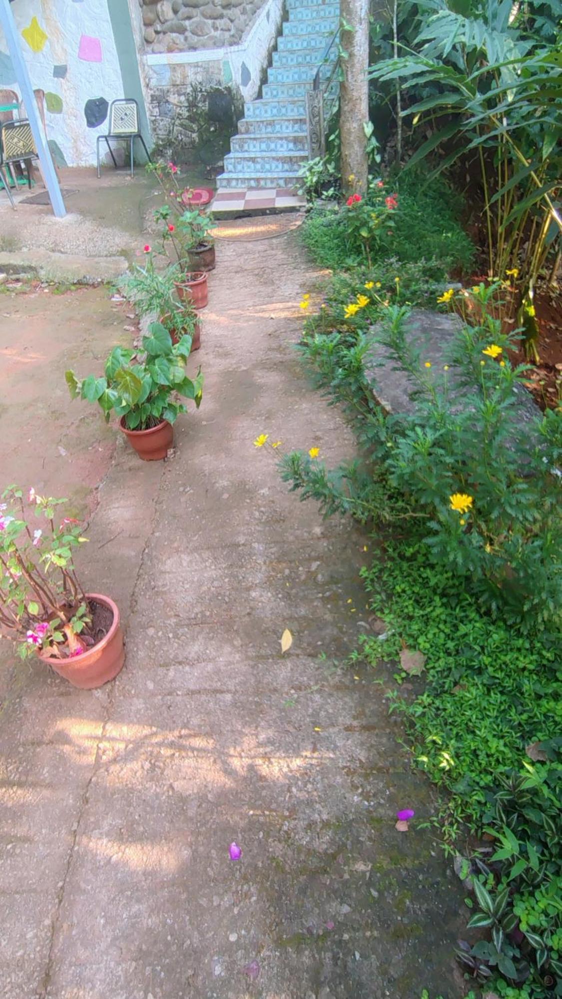 Munnar Green Portico Cottages And Hut Stay