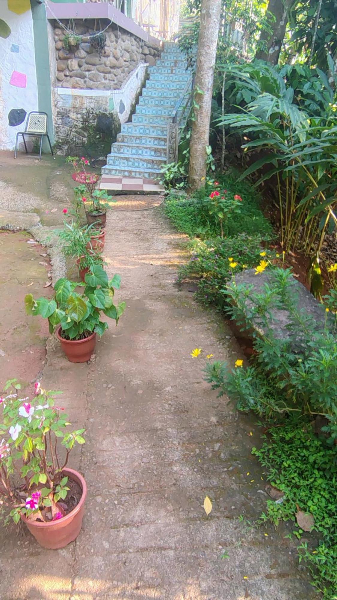 Campsite Munnar Green Portico Cottages And Hut Stay Munnar