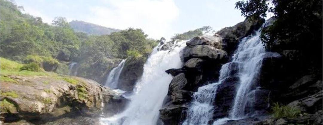 Munnar Green Portico Cottages And Hut Stay Campsite Munnar