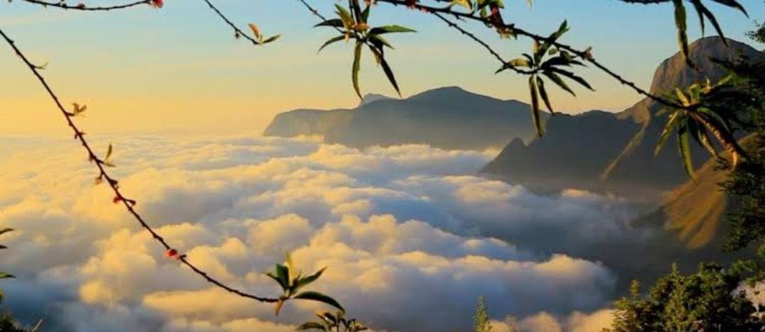 Munnar Green Portico Cottages And Hut Stay