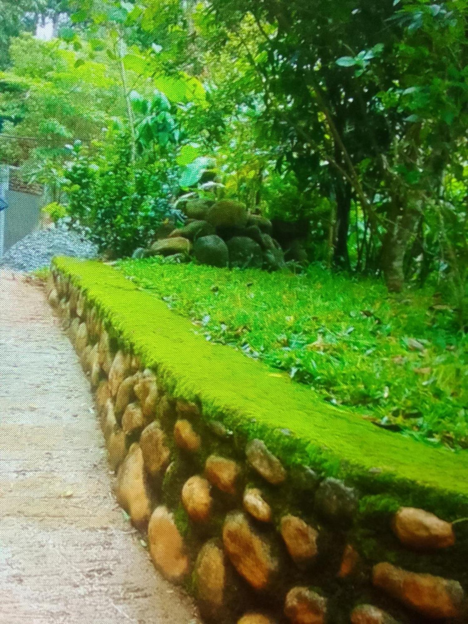 Campsite Munnar Green Portico Cottages And Hut Stay Munnar